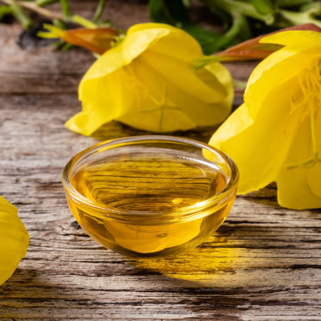 Evening Primrose Seed Oil Oenothera Biennis in skincare